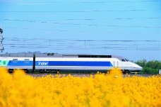 现代火车0110